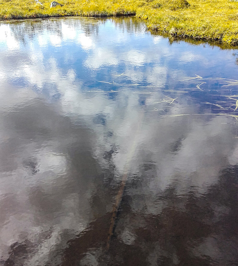 Lilla Tallsj&ouml;n ligger i dag l&aring;ngt &ouml;ver skogsgr&auml;nsen, med fj&auml;llbj&ouml;rk som s&auml;llskap p&aring; ena sidan. P&aring; sj&ouml;ns v&auml;stra sida, precis d&auml;r vasskanten b&ouml;rjar, hittar till slut Magnus svaret p&aring; varf&ouml;r den lilla sj&ouml;n heter som den g&ouml;r; p&aring; den grunda botten ligger en 3 000 &aring;r gammal tallstam konserverad i myrens kalla vatten. Sp&aring;r fr&aring;n en tid d&aring; varmare klimat pressade upp skogsgr&auml;nsen. Foto: Vadims Murasovs