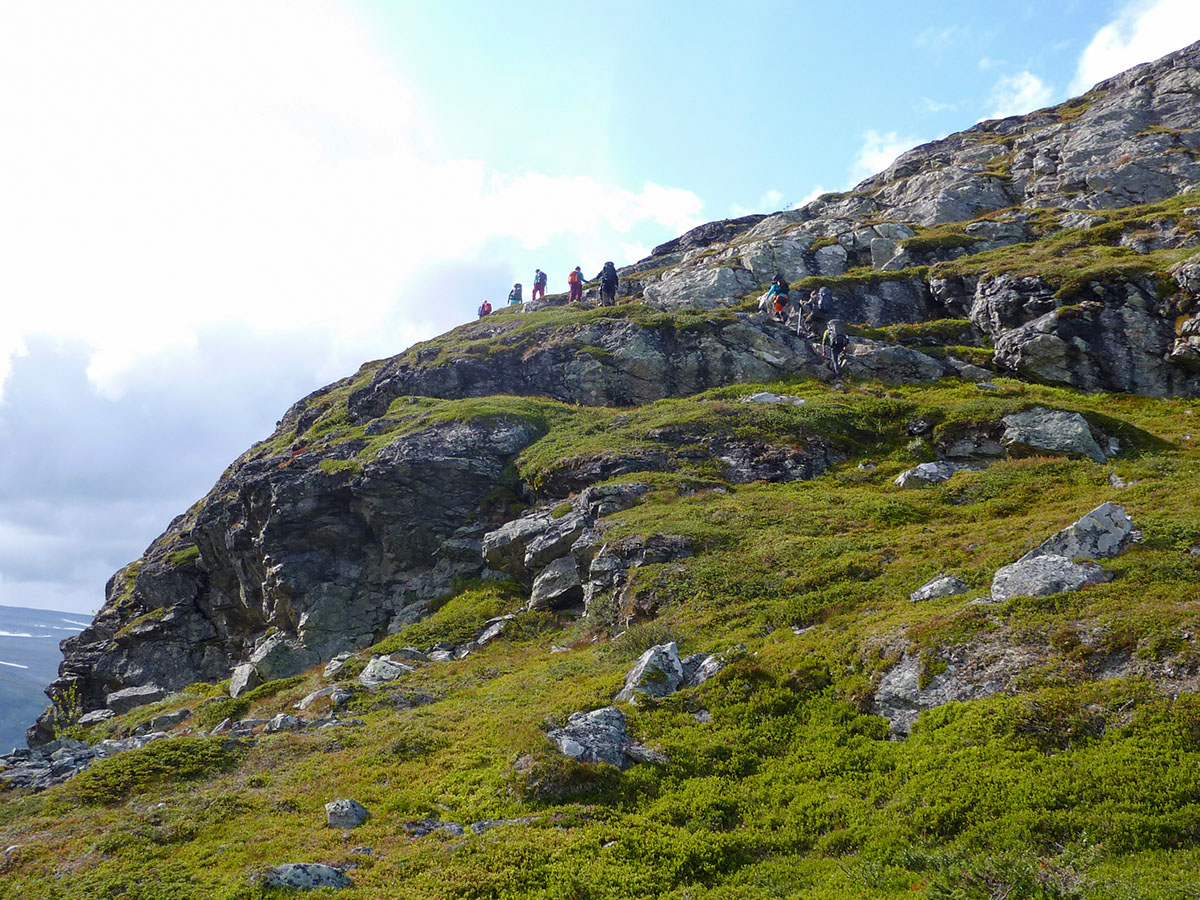 D&auml;r bl&aring;b&auml;rsriset slutar g&aring;r gr&auml;nsen mellan l&aring;galpina zonen och mellanalpina zonen, och d&auml;r lingonriset slutar b&ouml;rjar h&ouml;galpina zonen. Foto: Fabian Rimfors