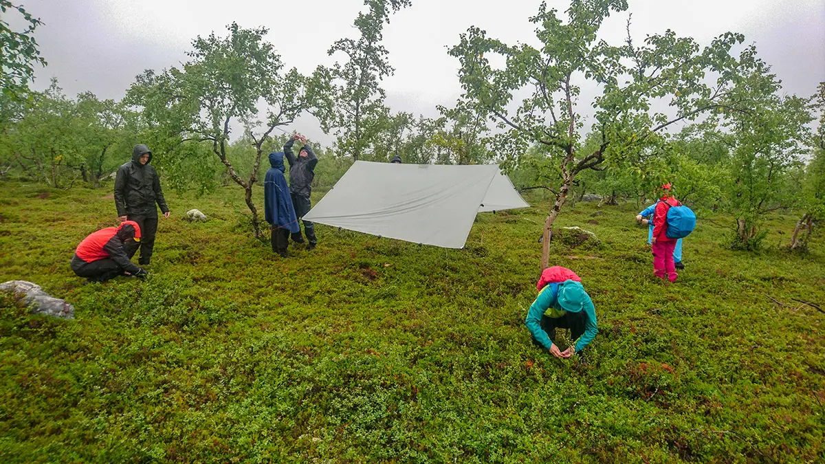 F&ouml;r den som ska leda en grupp p&aring; en vandring &auml;r det viktigt att kunna sp&auml;nna upp en tarp med r&auml;tt knopar, p&aring;lstek f&ouml;r att f&ouml;rankra den och dubbelt halvslag f&ouml;r att kunna justera sp&auml;nningen. Foto: Fabian Rimfors