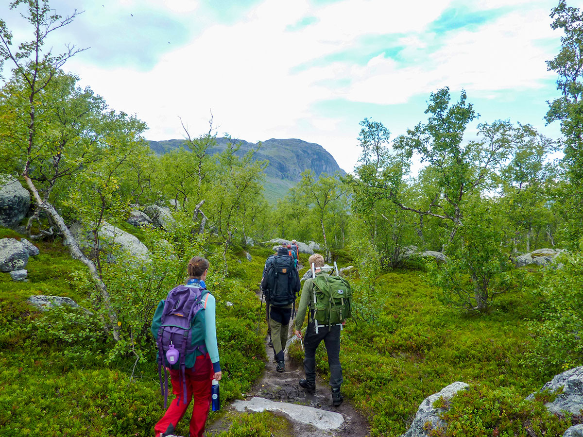 Under bestigningen av Lulep Gierkav l&aring;g fokus p&aring; den ekologiska &ouml;verg&aring;ngen fr&aring;n skog till de alpina zonerna. Foto: Fabian Rimfors