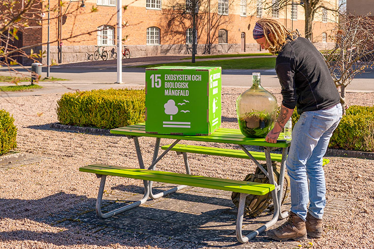 Niklas Landgren p&aring; Landskapsvetarprogrammet kopplar sitt hemmagjorda ekosystem mot FN:s 15:e globala m&aring;l.
