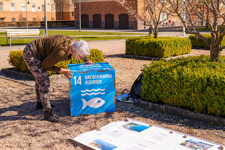 Landskapsvetarstudent f&ouml;rbereder sin presentation av FN:s h&aring;llbarhetsm&aring;l nummer 14 om hav och marina resurser.