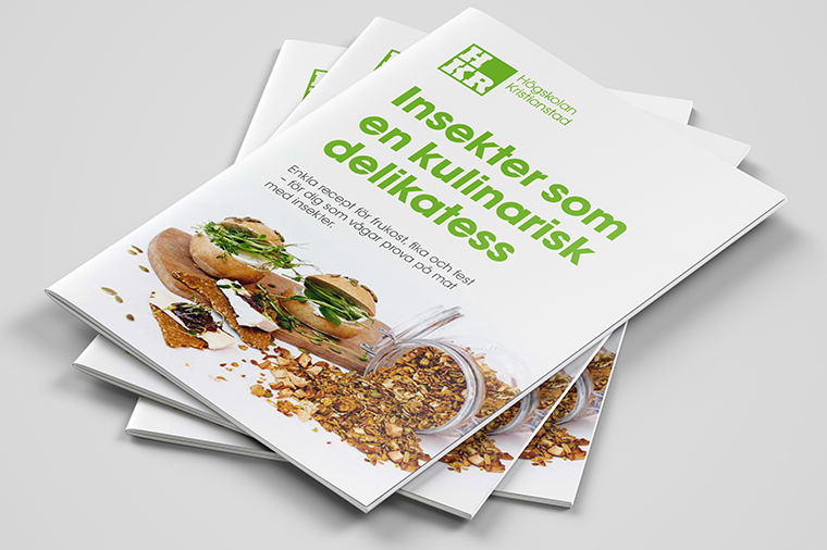 Insektsrecept broschyr.