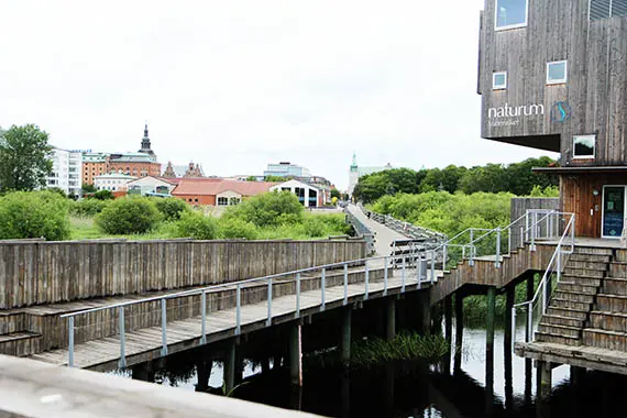 Naturum Vattenriket med Kristianstad i bakgrunden.