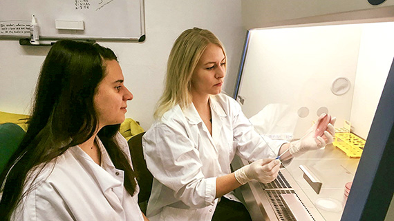 Sara inspekterar bakterier som de odlat p&aring; en s&aring; kallad McConkey-platta.