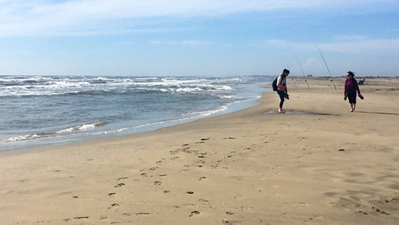 Tour du Valat ligger n&auml;ra stranden och Medelhavet.