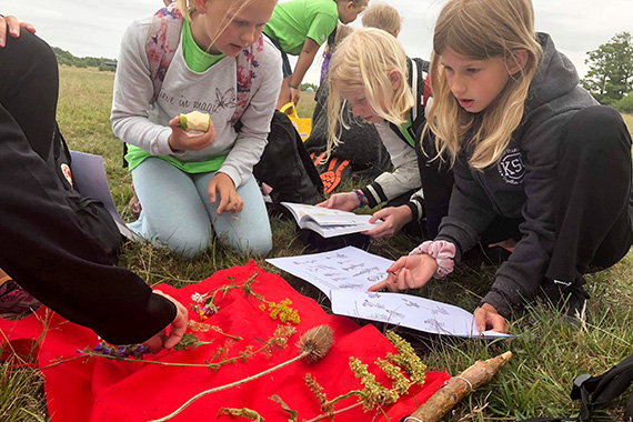 Efter att ha samlat in olika sorters blommor på Näsby fält skulle de placeras i familj och namnges.