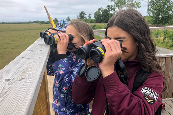 Moa och Amira från Datavirusen spejar efter fåglar uppe i fågeltornet till förmiddagens fågelbingo.