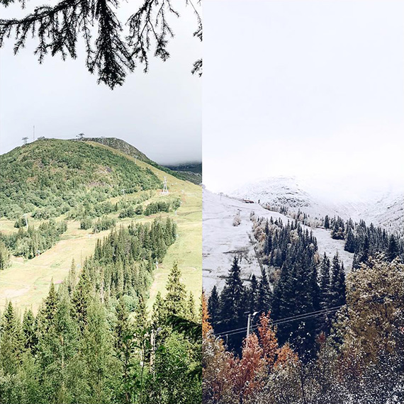 &Aring;re &aring;ret runt, en gammal slogan som Johanna sl&aring;r mynt av i denna komposition av sommar och senh&ouml;st.