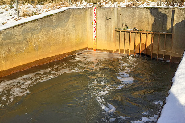 Vid Pynten d&auml;r reningsverkets vatten sl&auml;pps ut i Hammarsj&ouml;n uppm&auml;ttes totalt 17 kg av l&auml;kemedlen karbamazepin, diklofenak, metoprolol och oxazepam.