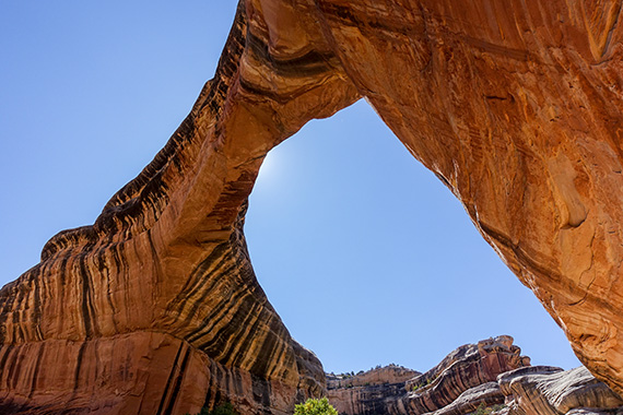 Sipapu &auml;r den st&ouml;rsta och mest spektakul&auml;ra av de tre "broarna" i Natural Bridges National Monument, Utah. Foto: MAgnus Thelaus