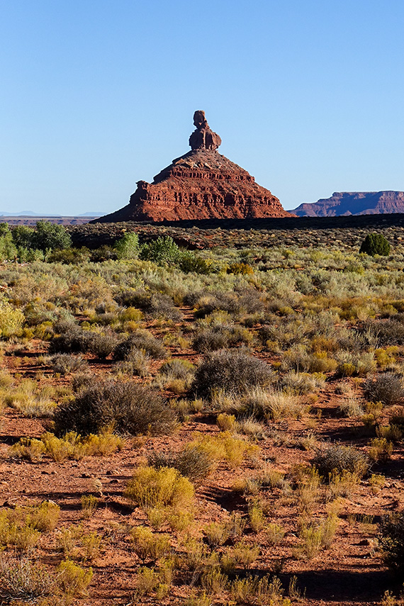 I Valley of the Gods tittar studenterna p&aring; erosion av sandsten, letar fossilt tr&auml; och bekantar sig n&auml;rmare med &ouml;dlor, f&aring;gelspindlar, harar och tarantula hawk-steklar.