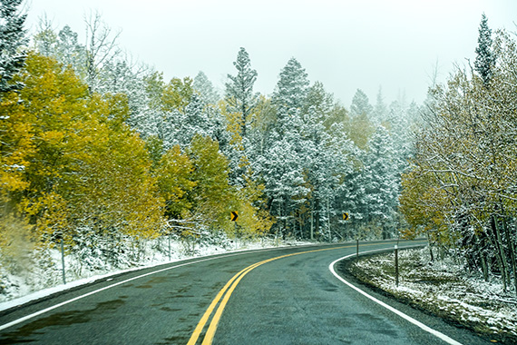 Snö 2 500 m ö h på väg mot Torrey genom snö och Utahs barrblandskog. Foto: Magnus Thelaus