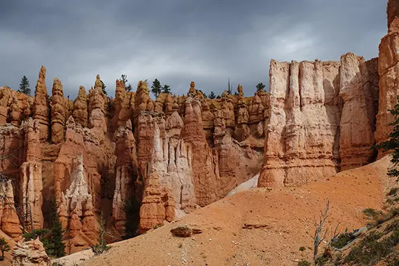 Hoodoos i Bryce Canyon, Utah, som &auml;r en gammal sj&ouml;avlagring av s&ouml;tvattenssediment. Den brandgula f&auml;rgen kommer fr&aring;n j&auml;rnoxid, allts&aring; &rdquo;rost&rdquo;. Foto: Magnus Thelaus