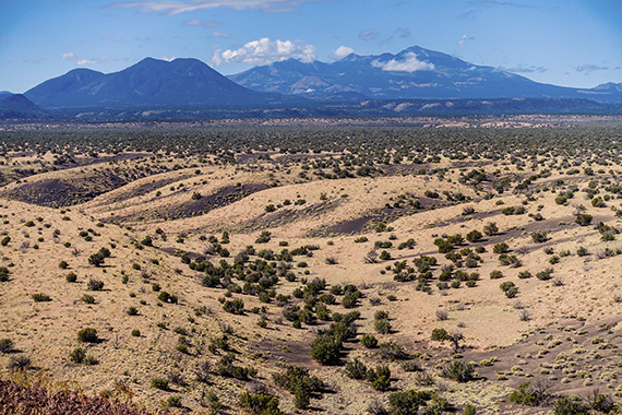 Vulkanen San Francisco Peaks, Arizona, nere fr&aring;n gr&auml;nslandet mot Great Basin Desert. Foto: Magnus Thelaus