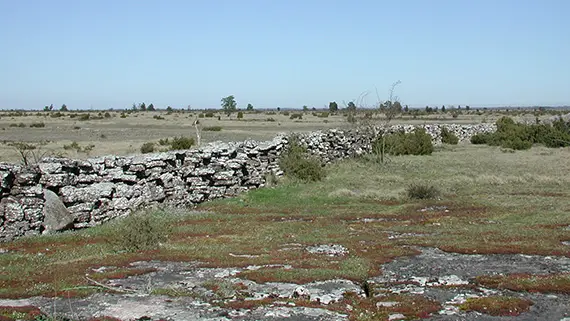 Alvaret.