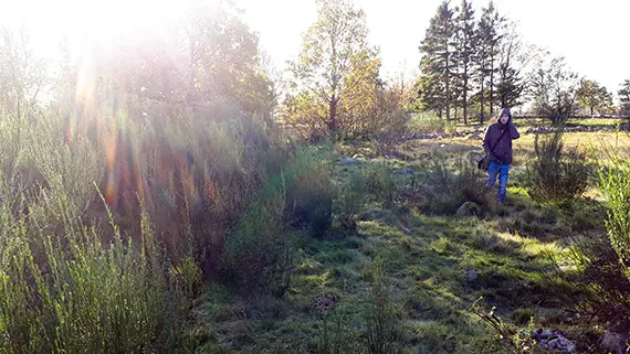Onslunda natur.