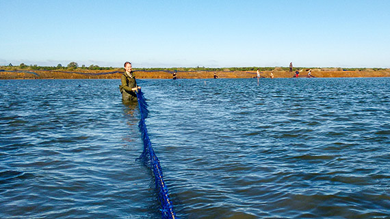 En helt "vanlig" v&auml;g ute i Do&ntilde;anas v&aring;tmarker. H&auml;r samlar Noa in svarthalsade doppingar.