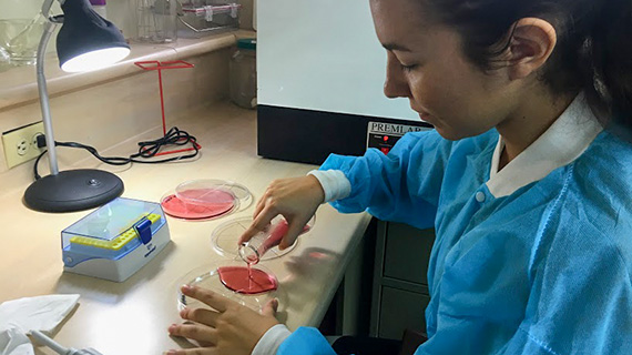 P&aring; sin VFU studerade Olivia antibiotikaresistens hos m&auml;nniskor.