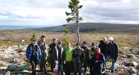 Studenter samlade runt evighetsgranen "Old Tjikko".