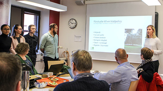 Julia Isbergs grupp har tagit fram underlag för en kommunal trädpolicy.