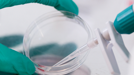 Biomedicinska analytikerprogrammet - 180 hp.