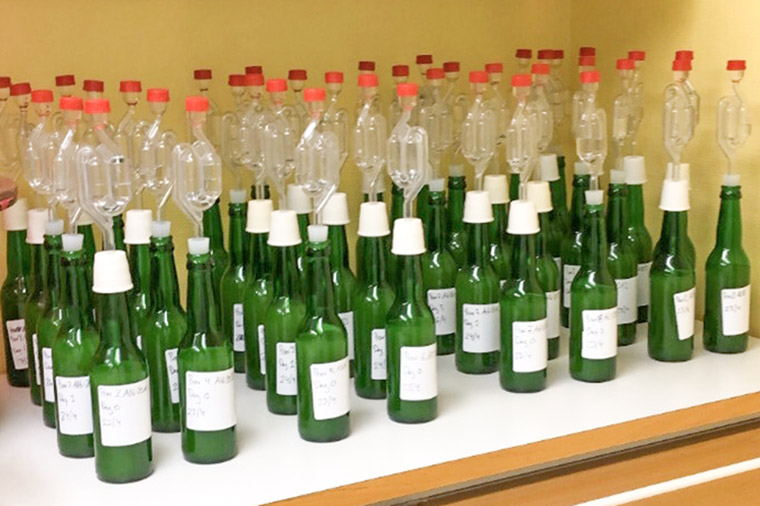 Flaskor med ofiltrerad och past&ouml;riserad &auml;ppeljuice av sorten Aroma med tillsatta j&auml;ststammar.