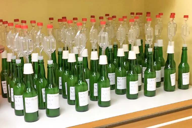 Flaskor med ofiltrerad och past&ouml;riserad &auml;ppeljuice av sorten Aroma med tillsatta j&auml;ststammar.