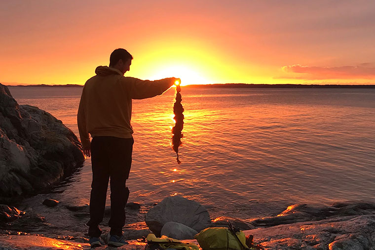Sockert&aring;ng sk&ouml;rdad i skymningen.