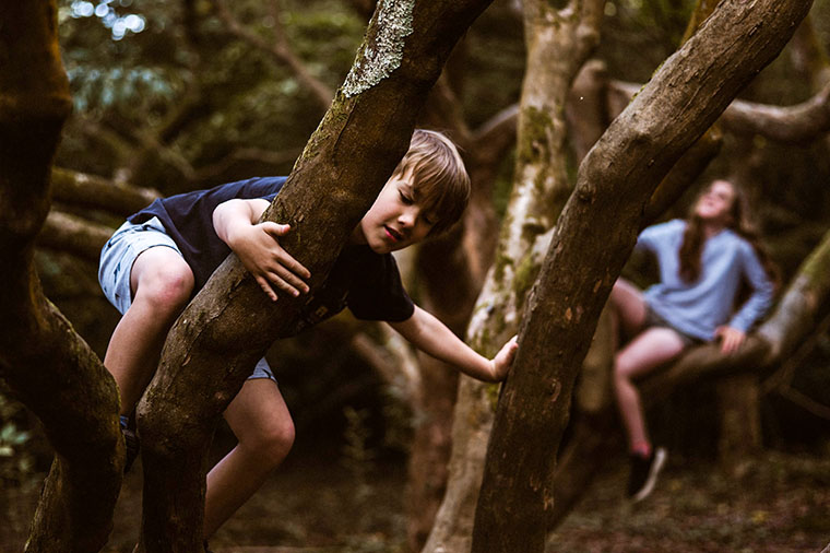 Barn kl&auml;ttrar i tr&auml;d. Foto: Annie Spratt/Unsplash