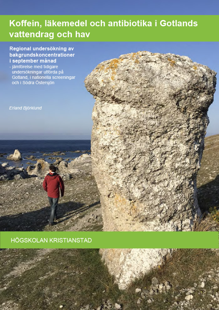 Omslag till rapport.