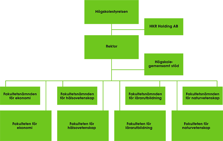 Organisationschema som visar h&ouml;gskolans organisation: H&ouml;gskolestyrelsen, H&ouml;gskolan Holding AB, Rektor, H&ouml;gskolegemensamt st&ouml;d, Fakultetsn&auml;mder, Fakulteter.