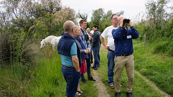 Camargue är mest är känt för flamingos och vita hästar. Men Ingemar Jönsson, Pär Söderquist och övriga medlemmar i forskningsmiljön Man and Biosphere Health ser också andra värden – och stora möjligheter till framtida utbyte mellan franska Camargue och Högskolan Kristianstad.