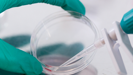 Pipett och petriskål.