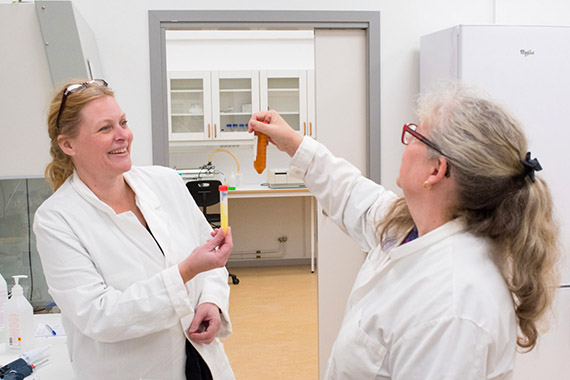 Tv&aring; tredjedelar av f&ouml;rfattartrion bakom m&aring;nadens publikation: Lina Axelsson, doktorand i biomedicinsk laboratorievetenskap och Ann-Sofi Rehnstam-Holm, professor i mikrobiologi.