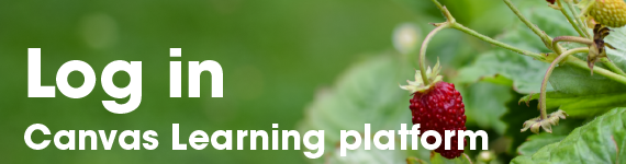 Log in Canvas learning platform