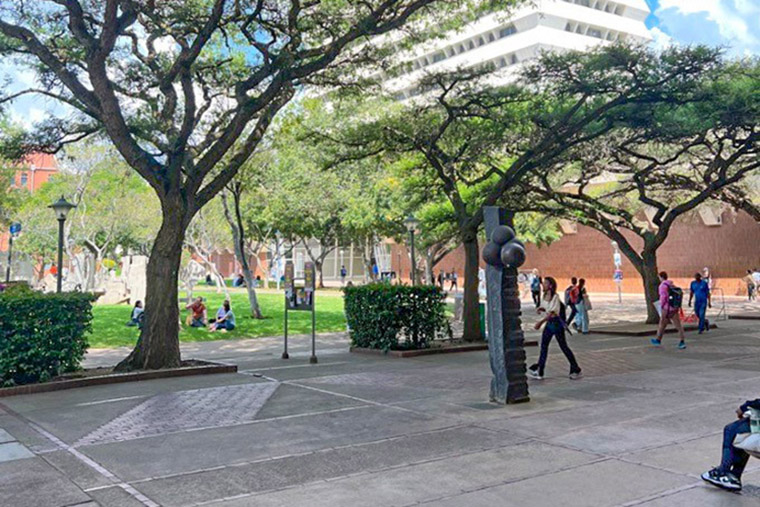 P&aring; University of Pretorias campus finns parker med skugga fr&aring;n solen.