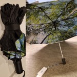 paraply som är matt svart på utsidan och har bild av att titta upp mellan trädgrenar på insidan