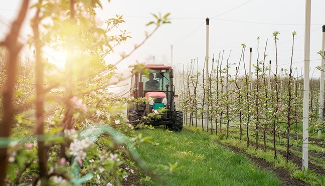 Nätverksträffar grön näring