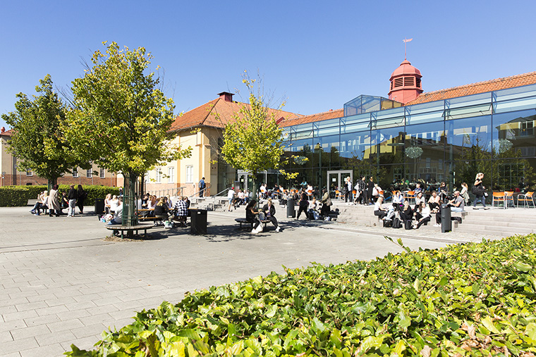 Studenter utomhus på högskolans campus, sommar.