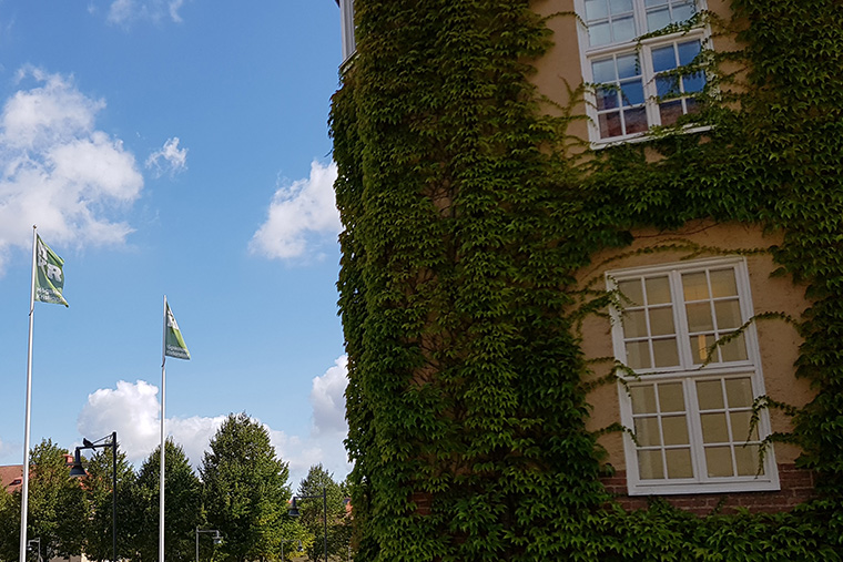 Hus och flaggstänger på campus.