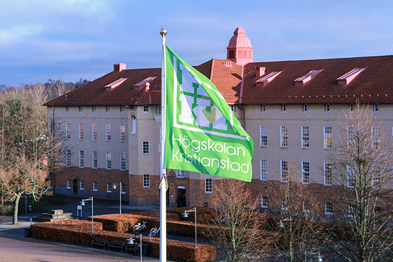 Flagga p&aring; h&ouml;gskolans campus. 