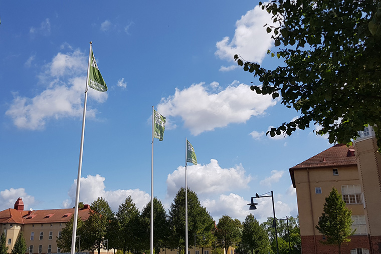 Tre gr&ouml;na HKR-flaggor vajar p&aring; h&ouml;gskolans campus.jpg