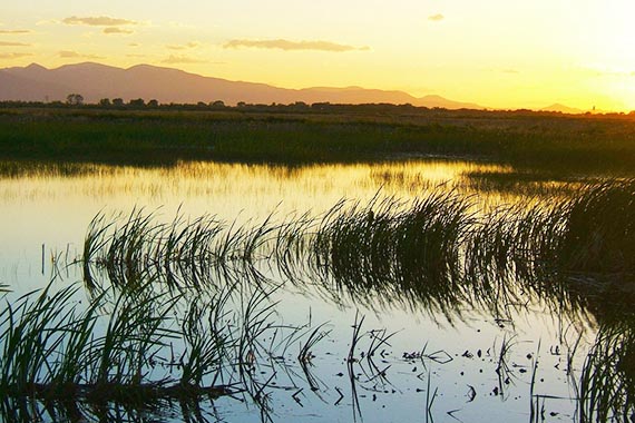 Wet lands around Kristianstad