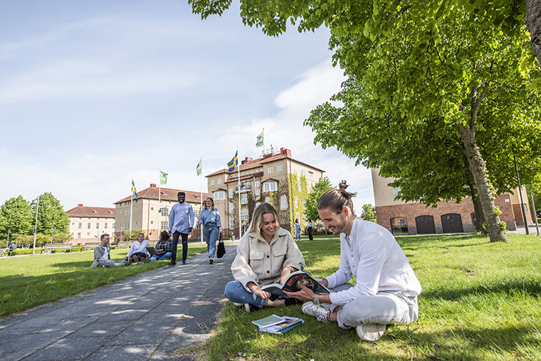 Högskolans campus utomhus på sommaren.