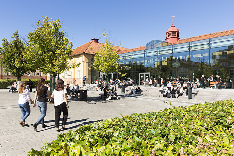 Studenter g&aring;r in p&aring; Campus fr&aring;n bussh&aring;llplatsen.